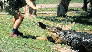 15:00: Animal Cops Miami (S16 E5) (S16) | Animal Planet | 11/7 2025