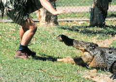 Animal Cops Miami