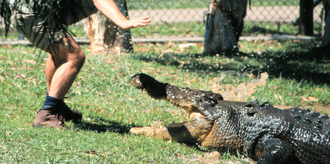 07:40: Animal Cops Miami (S16 E5) (S16) | Animal Planet | 11/30 2025