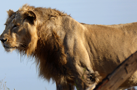 Hidden India: Land of Change