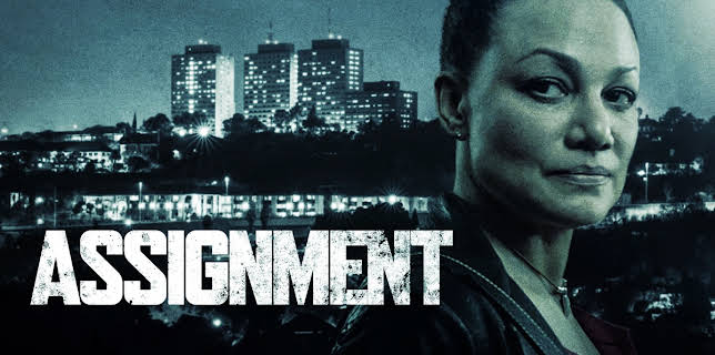 The Assignment (2015)