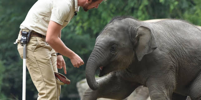 16:10: Leopard, Seebär & Co. (188) | Das Erste | 3/3 2026