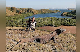 World's Wildest Encounters: Episode 2