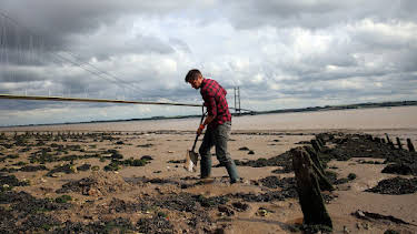 6:00 PM: Britain's Greatest Bridges (S1 E6) (S1) | 5 Select | 6/29 2026