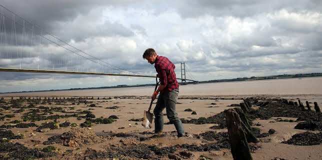 9:30 AM: Britain's Greatest Bridges (S1 E6) (S1) | 5 Select | 2/1 2026