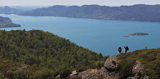 20:30: 71° nord - Norges tøffeste kjendis (S17 E29) (S17) | TVNorge | 11/16 2025