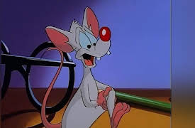 Steven Spielberg Presents Pinky and the Brain: The Complete First Volume: Tv Or Not Tv