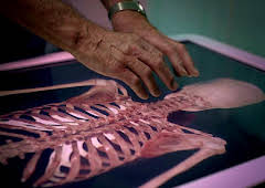 The Truth About My Murder