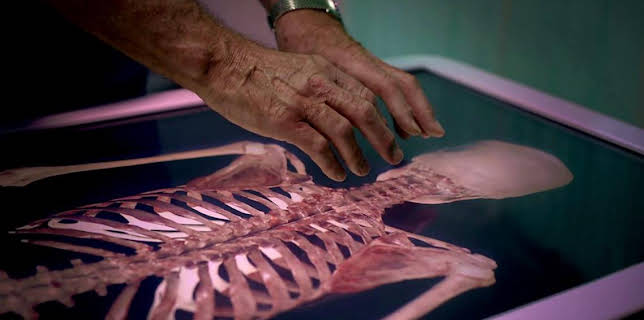 10:40 PM: The Truth About My Murder (S1) | BBC One Wales | 3/10 2026