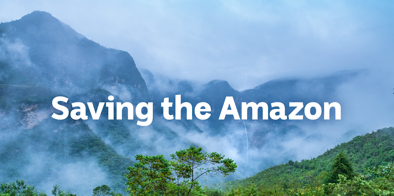Saving The Amazon