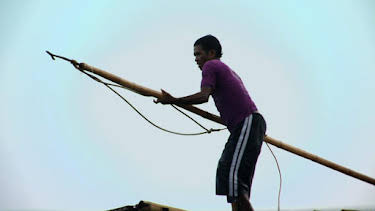 10:00 PM: Blue Planet (S1 E5) (S1) | Yesterday | 12/28 2025