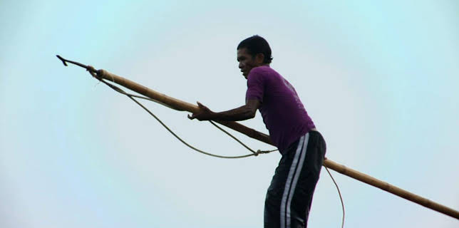 9:00 PM: Blue Planet (S1 E5) (S1) | Yesterday | 12/28 2025