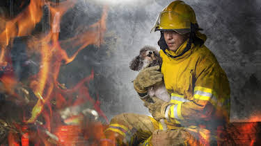12:00 PM: 100 Amazing Animal Rescues Caught on Camera | 5 Star | 8/2 2026