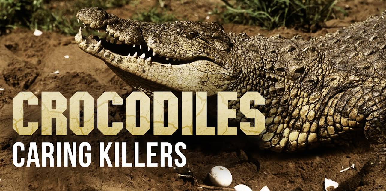 Crocodiles: Caring Killers (2016)