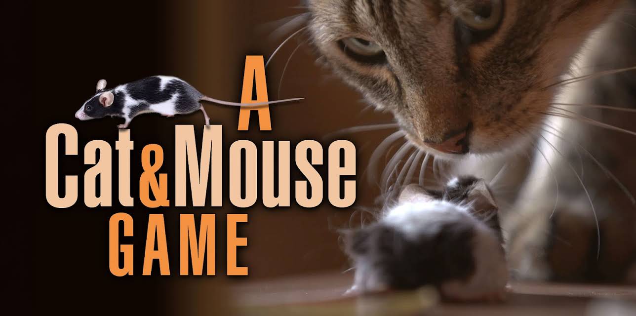 A Cat and Mouse Game (2019)