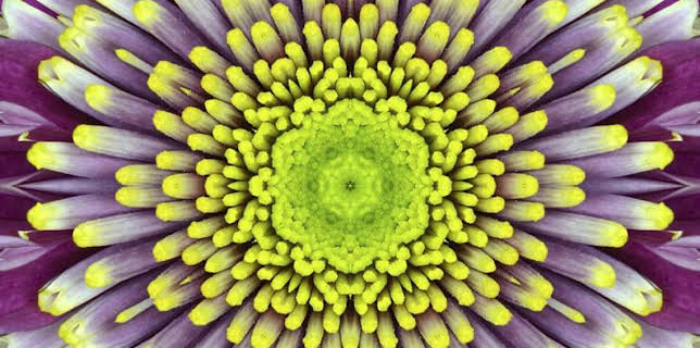 3:00 PM: How It's Made (S10 E12) (S10) | Discovery Channel | 3/13 2026