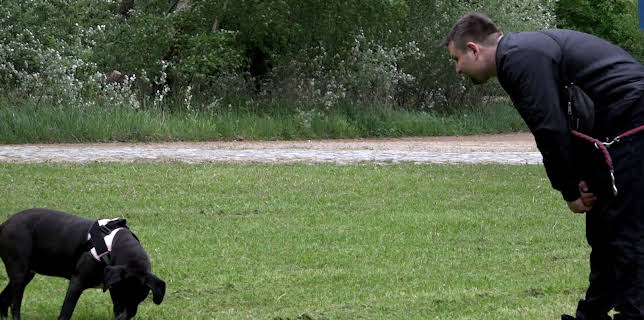 13:55: Hartz und herzlich - Tag für Tag Rostock (S7 E63) (S7) | RTL 2 | 3/18 2026