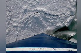 The Polar Bear Family and Me Season 1: Polar Bear Family and Me