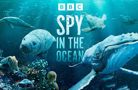 Spy in the Ocean: Deep Thinkers
