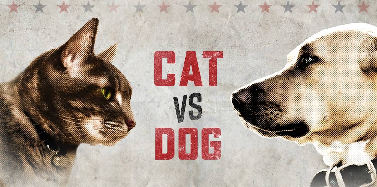 Cat vs. Dog Season 1