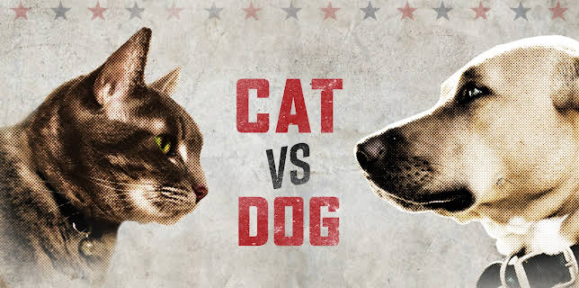 Cat vs. Dog Season 1