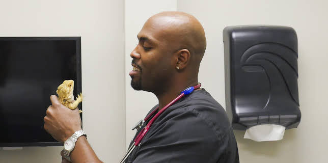 02:15: The Vet Life (S3 E4) (S3) | Animal Planet | 12/25 2025