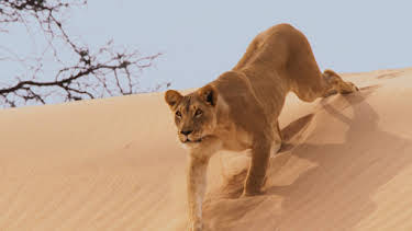 5:00 PM: Planet Earth (S2 E4) (S2) | Yesterday | 12/30 2025