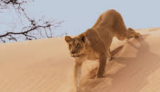 Planet Earth (S2 E4)