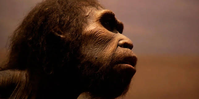 17:05: Das Unerklärliche | Kabel Eins Doku | 2/8 2026