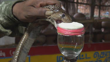 16:30: Die härtesten Orte der Welt | ZDFinfo | 4/7 2026
