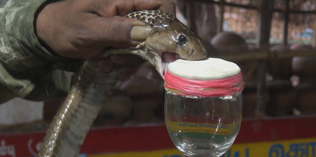 07:30: Die härtesten Orte der Welt | ZDFinfo | 11/19 2025