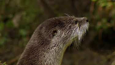 11:00 PM: America's National Parks | Nat Geo Wild | 9/4 2026