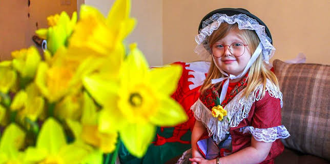 12:20 PM: My First Festivals (S2) | Cbeebies | 3/1 2026