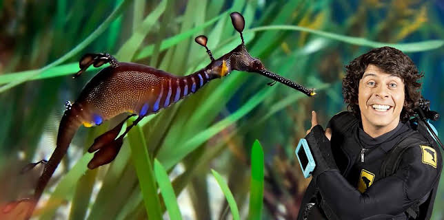 12:10 PM: Andy's Aquatic Adventures (S2) | Cbeebies | 11/8 2025