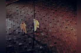 Chernobyl: Utopia in Flames: Paradise