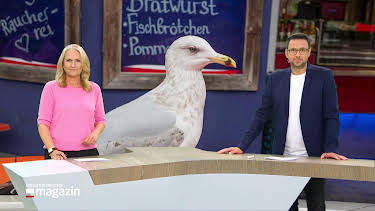 10:00: Schleswig-Holstein Magazin | Radio Bremen | 7/14 2026