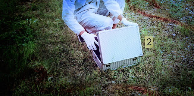 Pandora's Box Unleashing Evil Season 1