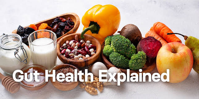 Gut Health Explained