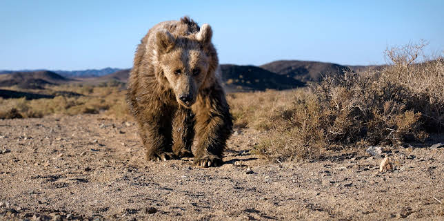 19:30: Asien | ZDF | 1/18 2026