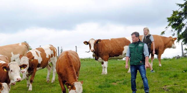 21:00: Österreichs Bergdörfer | BR Fernsehen | 1/26 2026