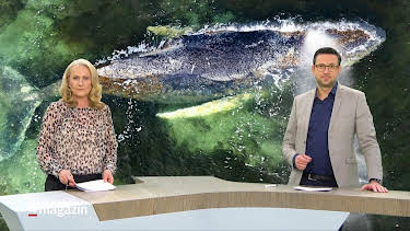 10:00: Schleswig-Holstein Magazin | Radio Bremen | 3/31 2026