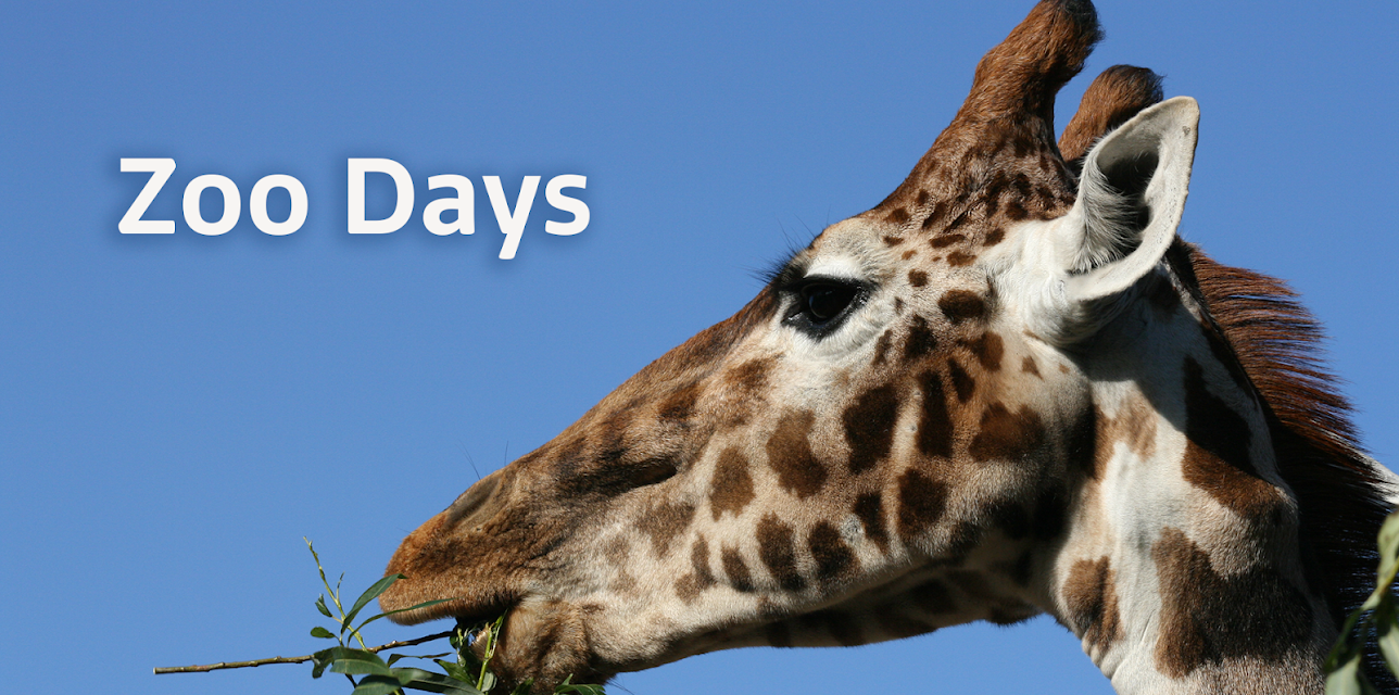 Zoo Days