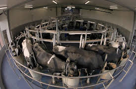 How Do They Do It?: Scania Trucks, Miracle Forensics, Gouda