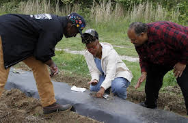 Rebuilding Black Wall Street: The Farm