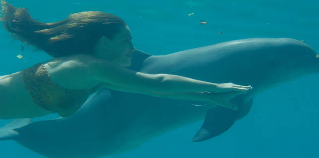 14:35: H2O - Plötzlich Meerjungfrau | ZDFneo | 12/31 2025