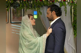 Raaz-e-Ulfat: Episode 22