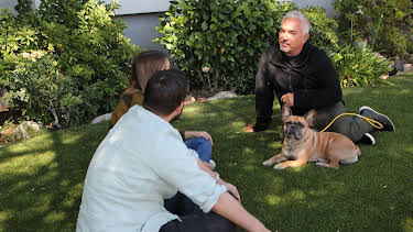 06:55: Cesar Millan: Better Human Better Dog - Bessere Menschen, bessere Hunde | Sixx | 4/12 2026