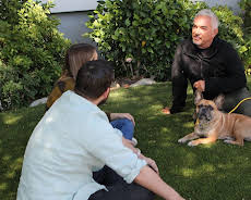 Cesar Millan: Better Human Better Dog - Bessere Menschen, bessere Hunde