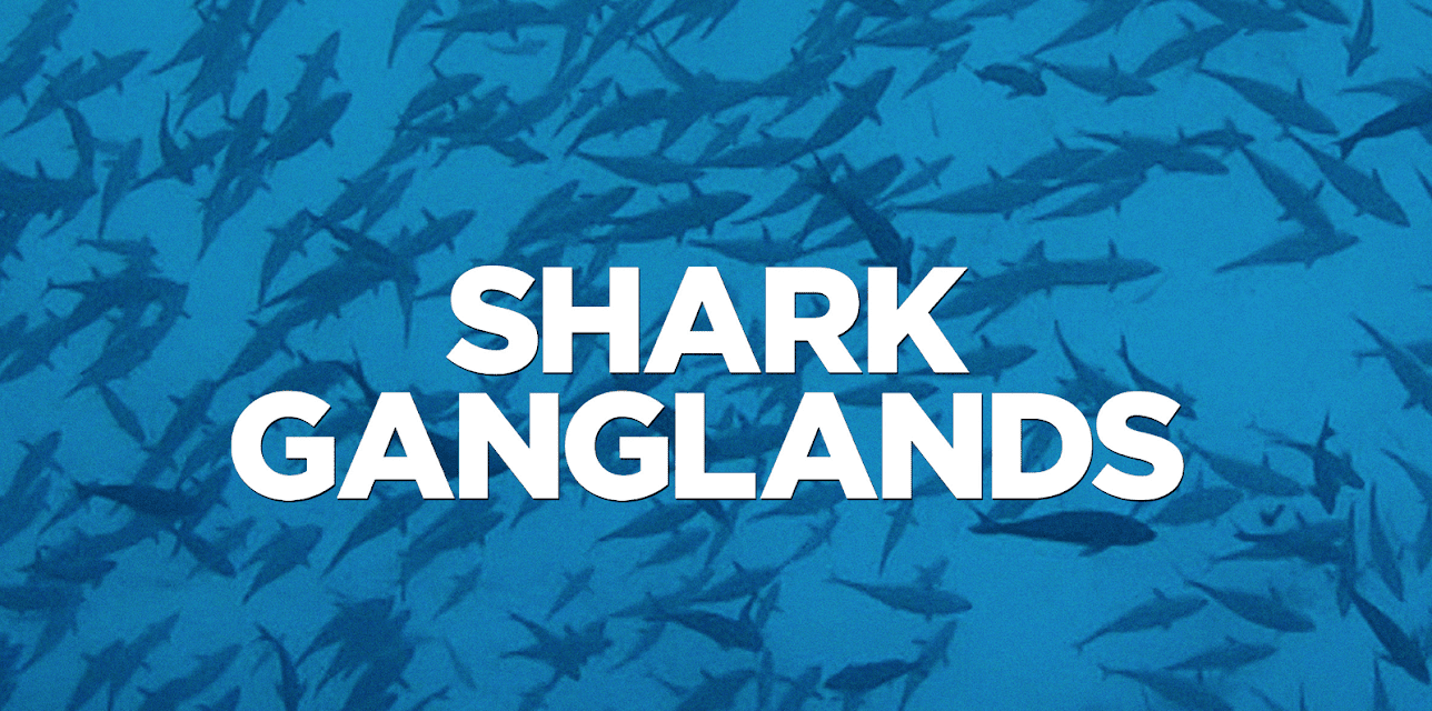 Shark Ganglands