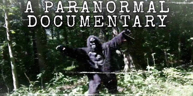 A Paranormal Documentary (2020)